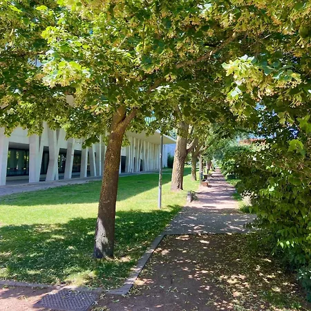 Rotamagus Officiel Appartement