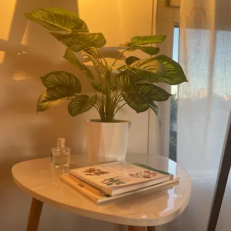 Rotamagus Officiel Appartement